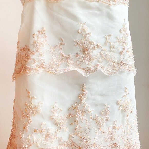 Jade Daniels Ivory Pink Beaded Lace Accent Strappless High Low Dress M - Picture 4 of 10